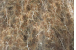 images/products/2022/06/06/original/15 VD.png